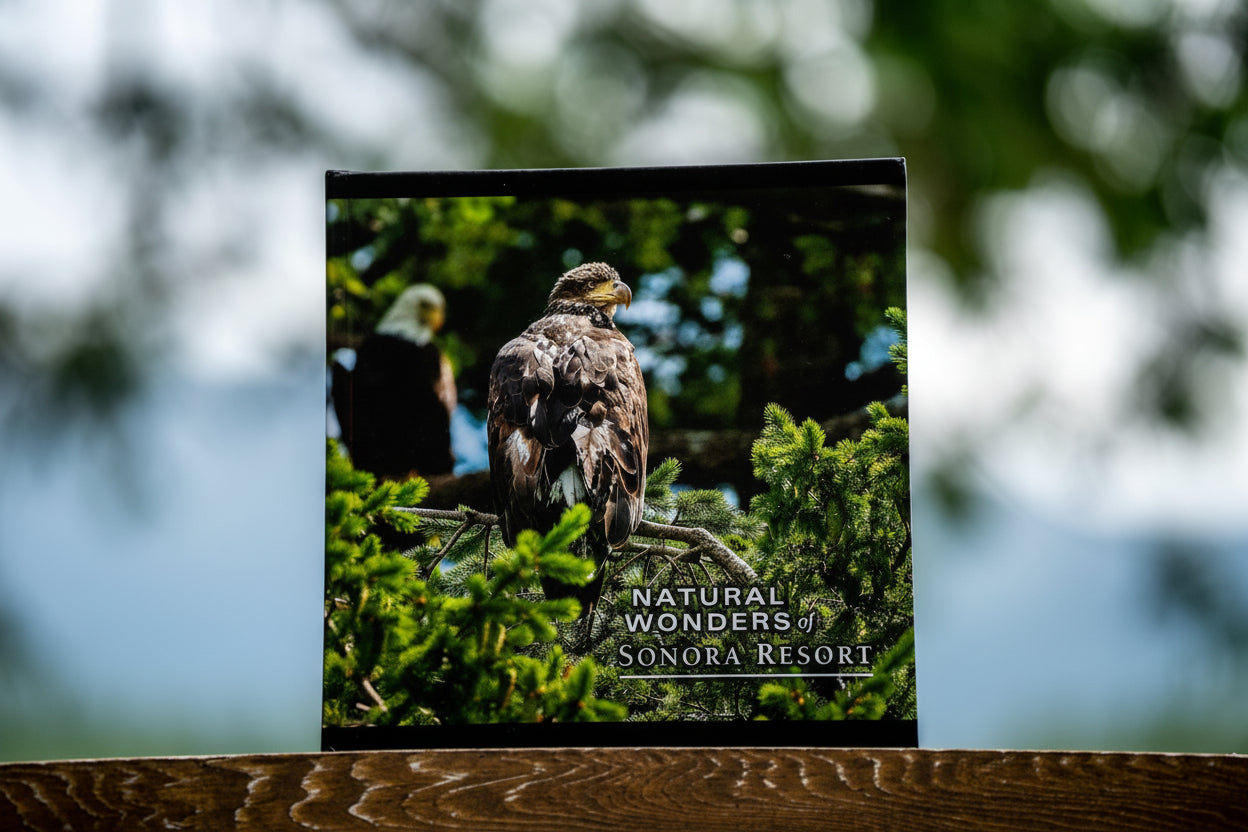 Hard cover coffee table book with an eagle on a branch in front of blurred greenery, featuring 'Natural Wonders Sonora Resort'.
