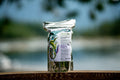 Seaflo product packaging on a wooden surface with a blurred natural background