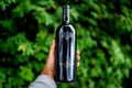 Hand holding a bottle of Mission Hill Oculus Merlot wine against a green foliage background